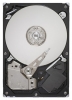  Seagate ST3250318AS